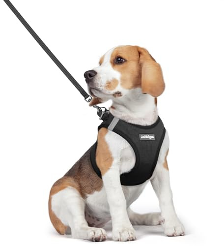 rabbitgoo Arnes Perro Pequeño con Correa Reflectante, Negro L, Chaleco Perro Ajustable Fácil de Poner, Arnes Antitirones de Malla Suave Transpirable, Arnés para Perros Pequeños Cachorros