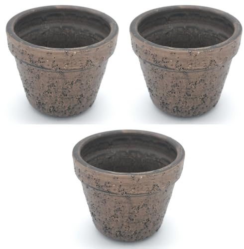 Maceta para CACTUS de barro rustica 3 uds. 6 cm x 7 cm
