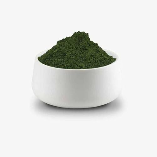Lorek Pigmentpulver Grün, 1 kg | Farbpulver zum Einfärben von Beton, Estrich, Putz und Gips