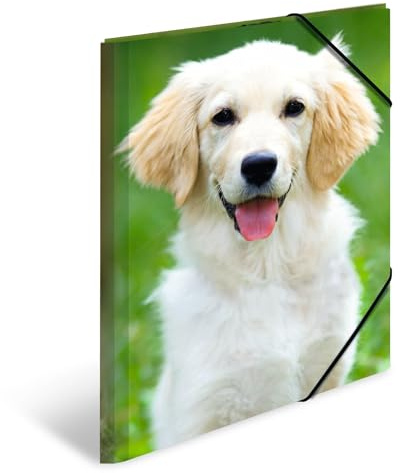 HERMA Sammelmappen A3 Hunde Set, 3 Stück, Kinder Eckspanner-Mappen aus Kunststoff mit Tier Motiv, Gummizug, Innenklappen und Innendruck für Jungen und Mädchen