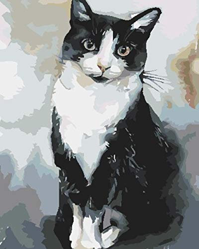 BFHZGG Malen Nach Zahlen ab 9 Jahre MäDchen， DIY Malen nach Zahlen Kits Auf Leinwand mit 3 Pinsel，Hochwertige Acrylfarbe Ölgemälde Kits für Kinder Erwachsene，Schwarze Katze，Mit Rahmen 40 * 50 cm