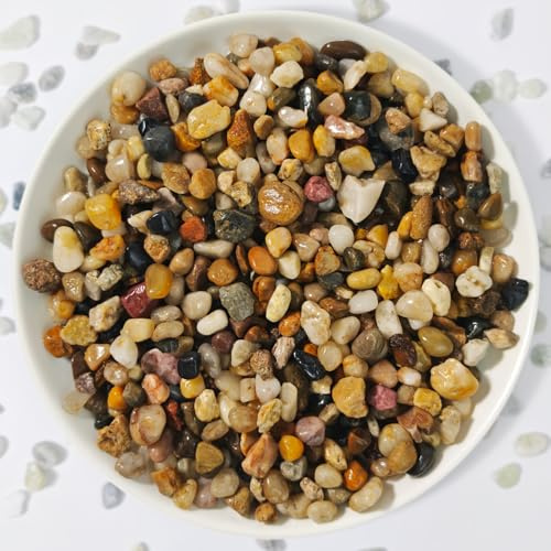 Pebbles for Indoor Plants,River Rocks for Succulent Plants,Aquarium Gravel