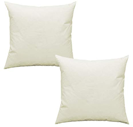 Haus und Deko 2er Pack Füllkissen Federn Kissen Inlett Kissenfüllung Kopfkissen Innenkissen Federkissen Baumwolle (35x35 cm)