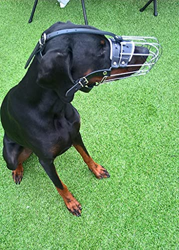 Muselière pour chien en fil métallique solide pour doberman, malinois et autres chiens (panier argent/cuir noir, 5D)