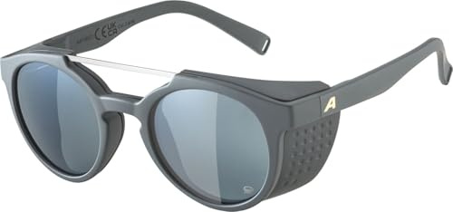 ALPINA Glace P Sonnenbrille, midnight-grey matt pol silver, One Size