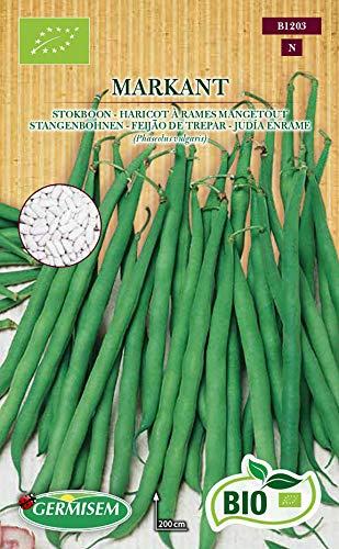 Germisem Bio Graines Haricot à rames mangetout MARKANT
