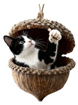 Weihnachtsanhänger mit niedlichen Katzen Hunde Eichel Motiven für Festliche Raumdekoration an Türen Wänden (D, One Size)