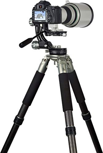 Rollei Lion Rock Gimbal - Treppiede con Gimbal, per l'astrofotografia e il digiscoping, capacità di carico max 30 kg, colore nero