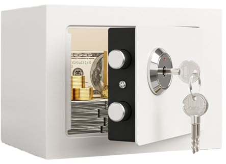 Coffres-Forts pour la Maison | Coffre-Fort Domestique à Serrure Mécanique - Coffret Argent Ignifuge Portable pour Objets de Valeur, Documents, Personnel, Intérieur, Voyage, Maison, Appartements,