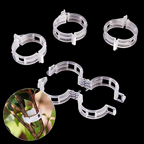 VSTAR66 200 Clips de Soporte para Plantas de plástico, Mini Anillos de jardinería para Tomate, Rosa, peonía, orquídea en posición Vertical
