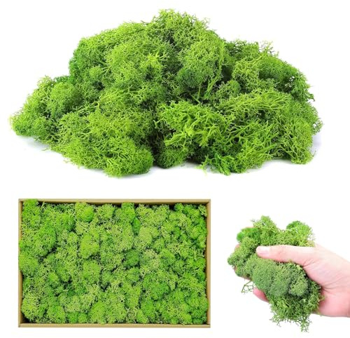 Forhome 200g Iceland Moss for Crafts, Moss Natural Preserved, Artificial Moss Decoration, Reusable Moss Leaves, Moss for Crafts for Beautiful Christmas Decoration or Flower Arrangements