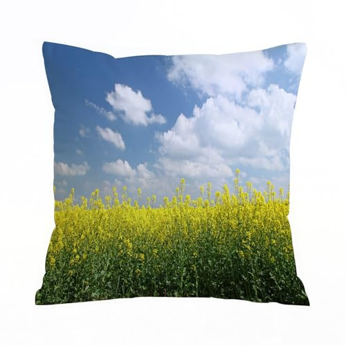 ERRTU Throw Pillow Case Pillowcase Square Printed Cushion Cover for Living Room Sofa Couch Bed Car,Country Home, Rapeseed field in bloom and clouds with clear sky S,20x20 in
