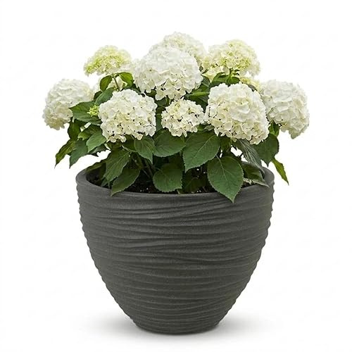 URBNLIVING Large Round Stone Effect Plant Pot – Modern Outdoor & Indoor Planter, Durable Wide-Opening Garden Décor (SYLT Black)