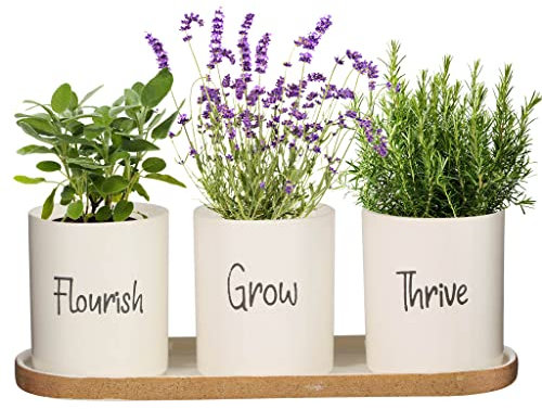 Dibor Indoor Herb Garden Planter Set Windowbox Flower Pots on Tray Wedding Anniversary Christmas Gardening Gift (BX05)