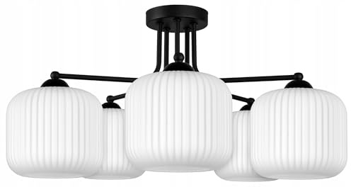 FKL DESIGN Home Deco Deckenlampe Deckenleuchte Schwarz-Weiß 5-flammig E27 Weiß Glas Lampenshirm Lampe aus Serie N898 (E5)