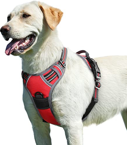 Eagloo Pettorina Cane Taglia Grande, Pettorina ad h Antifuga, Imbracatura per Cani Anti Tiro con Doppio Gancio, Imbracatura Robusto e Regolabile per Addestramento Passeggiate, L, Rossa
