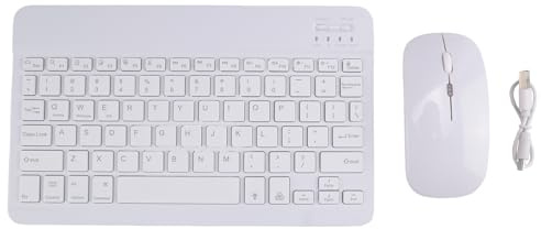 Bamberg Kit Combinato Tastiera e Mouse Wireless da 10 Pollici RGB Retroilluminato Ricaricabile, Tastiera e Mouse Bluetooth