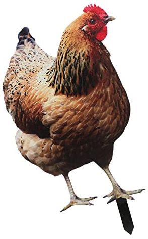 OFFSCH Garden Chicken Stake Realistic Lawn Decor Outdoor Yard Sign Rustic Farmhouse Style Decorative Chicken Ornament for Patio Courtyard