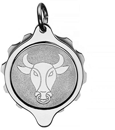 SOS Talisman Anhänger Edelstahl, Sternzeichen Stier, Notfallkapsel für wichtige medizinische Informationen
