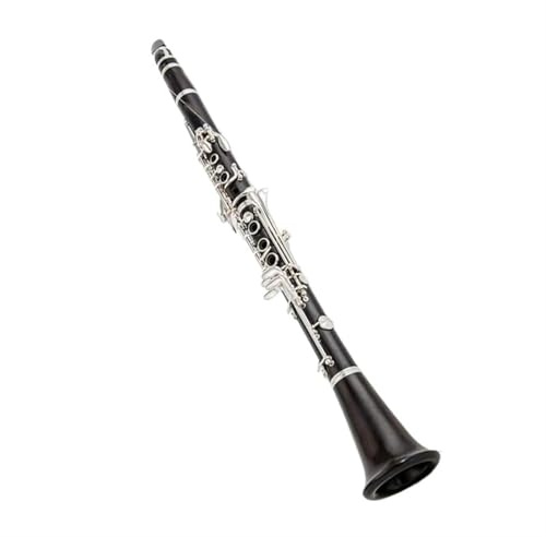 Klarinette Professionelle B-Klarinette Versilberte Schlüssel Musikinstrumente Langlebige 17-Tasten-Standardklarinette
