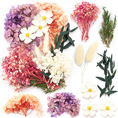 iDattel torkade blommor, naturliga blandade, gör-det-själv naturliga torkade blommor set för konst pyssel gör-det-själv epoxihartsformer, scrapbooking hantverk kort (rosa vit ros