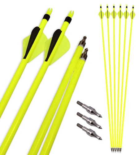 surwolf 31,5 Carbon Arrow，Bågskytte Jaktpilar，Spine 500，med avtagbara tips，för Compound & Recurve Bow (Pil, 12)