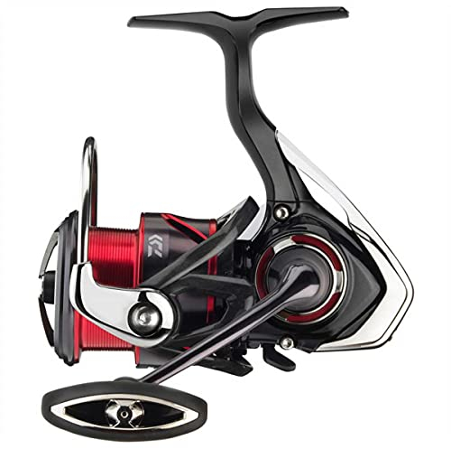 Daiwa 20' Fuego LT 3000-CXH Rolle