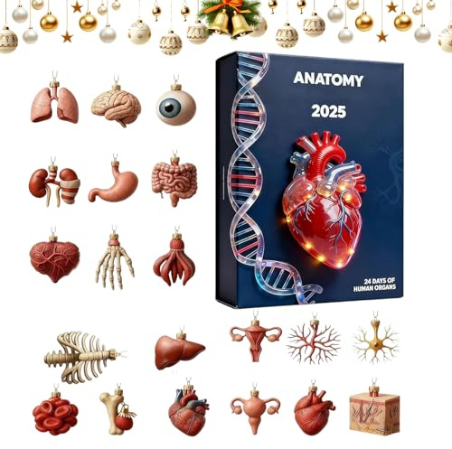 Calendario De Adviento Navideño 2025, Colgante 2D Para Decoración Del Hogar, Calendario De De Anatomía Humana, Para Médicos Enfermeras Profesores Estudiantes Cumpleaños Graduación