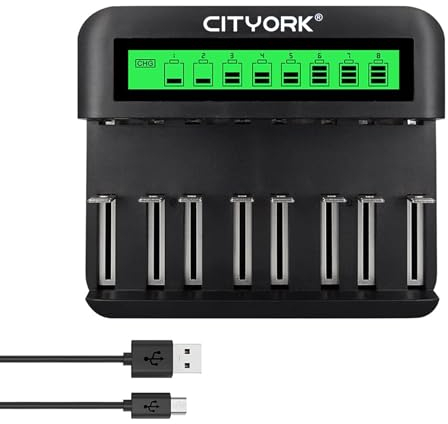 CITYORK Battery Charger, Suitable for AA AAA C D NI-MH/NI-CD Batteries - Fast Charging, Automatic Detection, Overload Protection Function (Appearance May Vary)