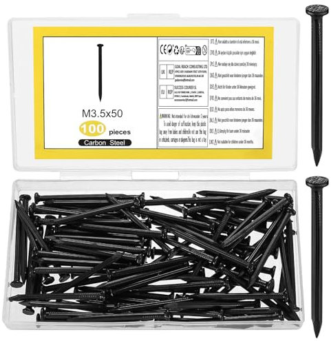 100 Pz Chiodini per Quadri Muro, Chiodi in Acciaio per Quadri, Chiodi da Muro, Chiodi per Cartongesso, Chiodi per Quadri Muro, Chiodi per Cemento Mattoni Legno Appendere Quadri (50 mm, Nero)