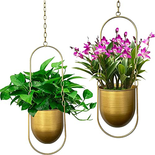 Smaxcn Hängender Pflanzenaufhänger，2er Set Boho Hänge Pflanzgefäß,Moderne Wand und Deckenpflanzer Blumentopfhalter für Sukkulenten, Kräuter, kleine Pflanzen ，Luftpflanzen (Gold)
