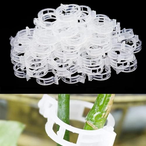 SSKHE 100 Stück Pflanzenclips,Pflanzenclips Kletterhilfe Pflanzen,Pflanzenklammern Tomatenclips,Kunststoff Tomatenklammern,Pflanzen Clips,Blumen klammern für Gemüse Tomate Pflanzen Befestigung(weiß)