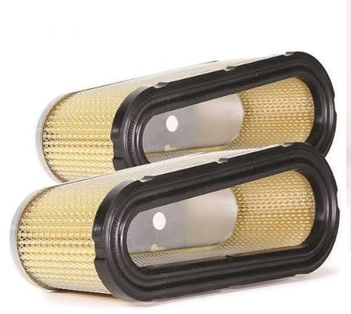 Matijardin - Filtre à air pour moteur compatible avec Briggs & Stratton 493909, 496894. Par 2