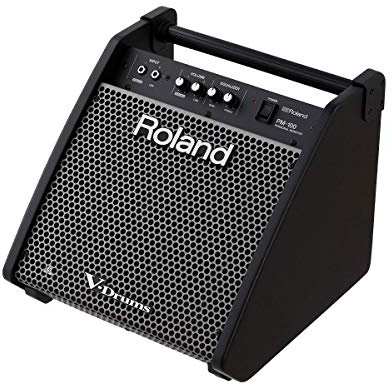 Roland PM-100 Personal Drum Monitor, 80 Watt