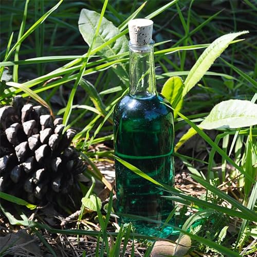 10 bottiglie in vetro da 200 ml con tappo in sughero + 10 scatole, bottiglia per vino, liquore, whiskey, rum, ideali per souvenir