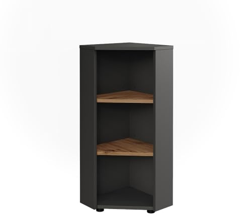 Vicco Armoire d'angle Irma, Anthracite/Chêne de Force doré, 33x81cm 3 Compartiments de Rangement, pour Un Rangement Peu encombrant dans Les Coins de la pièce