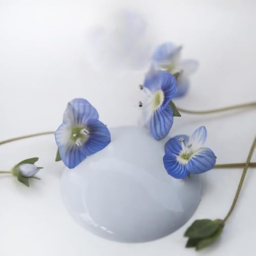 Jeanne d´Arc living Vintage Paint Kreidefarbe 700ml Chalkpaint Kalkfarbe ECO LABEL Umweltfreundlich Wasserlöslich Deckend für Kindermöbel, Kreidelacke Möbel, Möbelfarbe Shabby Chic Lack (Baby Blue)