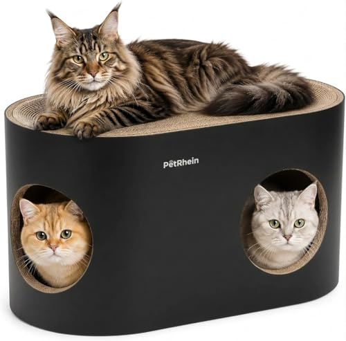 PetRhein 3-in-1 Kratzbrett für Katzen aus Kratzpappe | großes Katzenhöhle mit Kratzmatte & Katzenbett – 64 x 35 x 36 cm– Stabiles Kratzpappe, Minimalistisches Kratzmöbel für Katzen