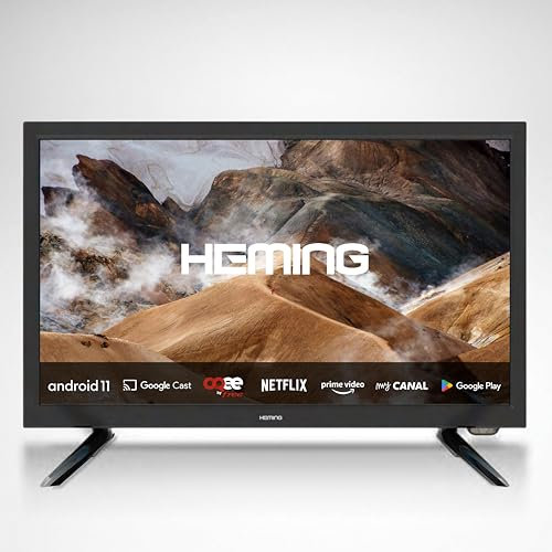 Heming Smart TV 18,5 (47 cm) Android Connecté WiFi avec Bluetooth - 12V/24V/220V - Garantie 3 Ans