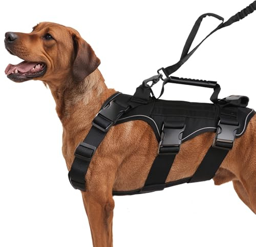 Mapille Hundegeschirr mit Leine,Hundegeschirr mit Griff,mit 3 Griffe und 3 D-Ringen,Reflektierend Atmungsaktiv,Brustgeschirr Hund,für Mittelgroße Große Hunde(L)