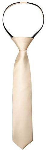 Alizeal Cravate fine pré-nouée avec fermeture éclair pour garçon Couleur unie 6 cm - Beige - Taille Unique