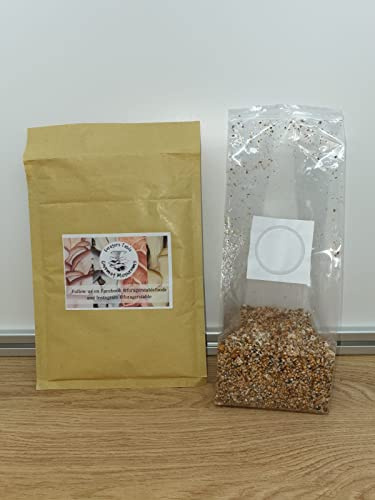Pink Oyster Mushroom Spawn/Seed, Foragers Table 250g heat sealed bag (Pleurotus djamor)