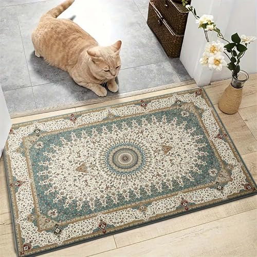 AMEHA Door Mats Outdoor Indoor 40 x 60 cm, Heavy Duty Door Matts Indoor, High Absorbent Non Slip Floor Mat Welcome Entrance Doormats Machine Washable Low Profile Doormat (Willow)