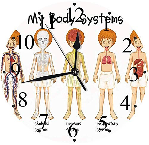 Hisense WF1Q9041BW - Lavadora, Class A, 9Kg, 1400 rpm, Alto 84.5cm x Ancho 59.5cm, Color Blanco, Función Vapor 99,9%, Lavado Rápido+, Lavado Automático, Finalización Diferida, Tecnología Inverter