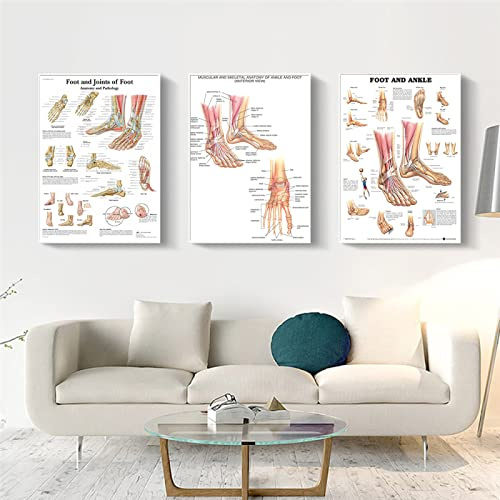 GVOZI Canvas Home Decoration Fuß- Und Knöchelreflexzonengelenk Des Fußes, Anatomie Und Pathologie, Diagramm, Propaganda-Poster, Leinwand, Gemälde, Wandkunst, Bilder, Dekoration 30x40cm