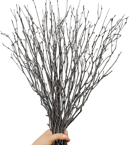 30Pcs Real Dried Birch Twigs - 16” Decorative 100% Natural Birch Branches for Easter Vases, Curly Willow Branches, DIY, Floral Arrangement, Twig Wreath, Centerpiece, Rustic Home Decor