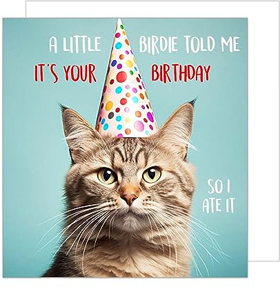 Edition Seidel Premium quadratische Geburtstagskarte mit Umschlag. Glückwunschkarte Happy Birthday Billet Karte Mann Frau Teenager Kinder Sprüche Coole Katze Humor Party (GQ121)