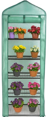 DIVCHI Mini serre à 5 étages pour une utilisation en intérieur et en extérieur, très résistante, idéale pour cultiver des légumes, des fleurs, des herbes et des semis