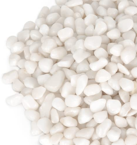 GASPRO - Pietre bianche decorative per piante, giardino, paesaggistica, riempitivi per vasi e altro ancora, 6,8 kg