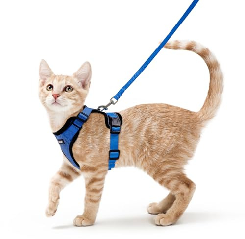 rabbitgoo Harnais Chat Petit Chien Laisse Harnais Chaton Réglable Bleu S Collier Harnai Chat Refléchissant Gilet Respirant pour Lapin, Chat Européen, Maine Coon, Persan, Attache Dessus avec Laisse
